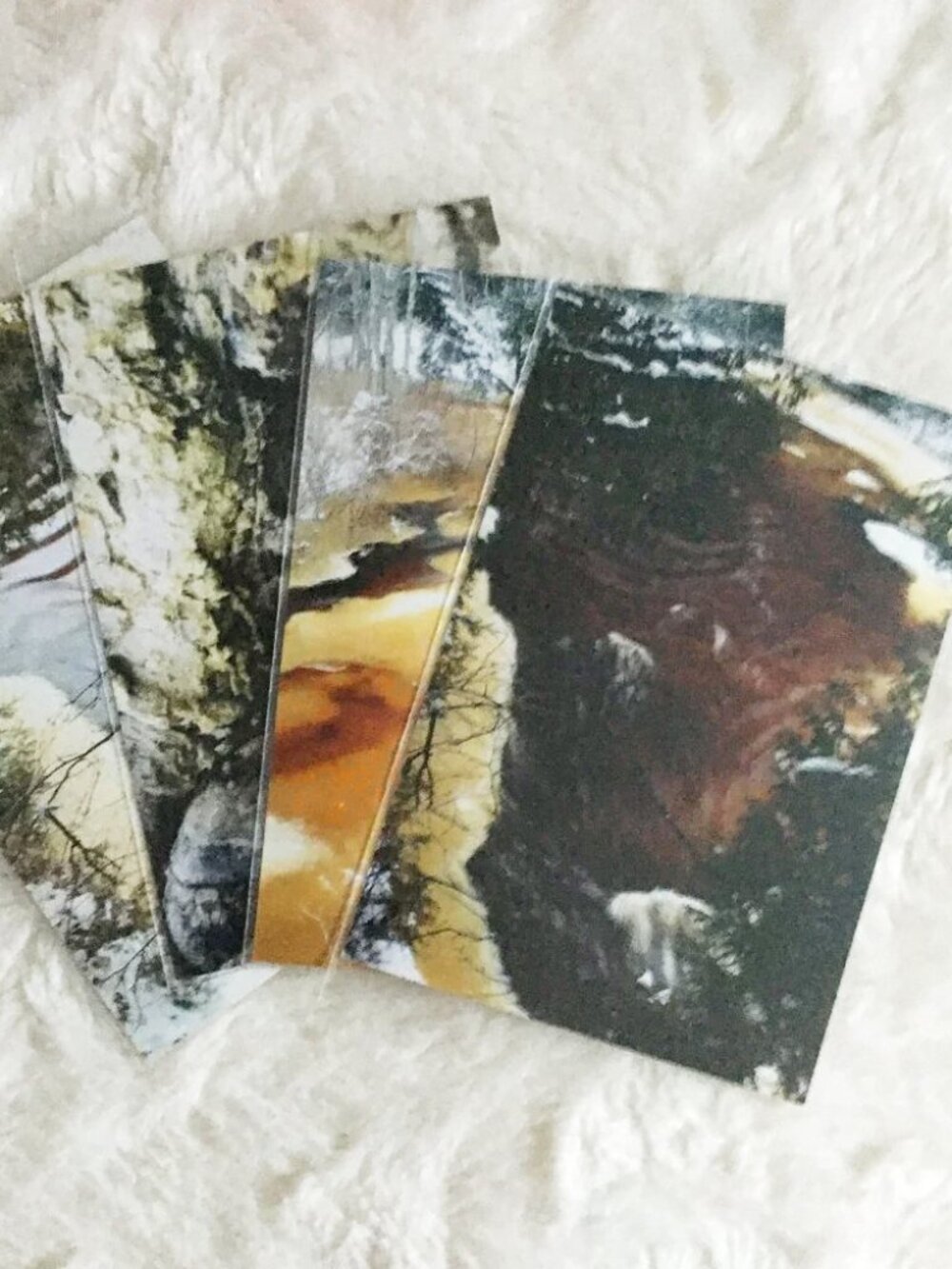 Set of 4 Original Canadian Winter Nature Photos | Icy River & Mossy Bark Art